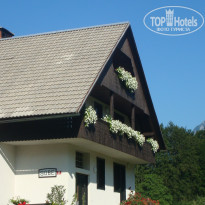 фото из отзыва ID 1294450