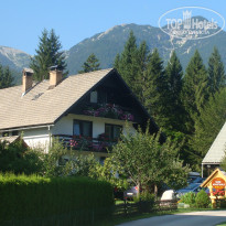 фото из отзыва ID 1294450