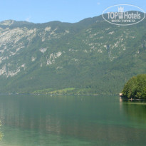 фото из отзыва ID 1294450