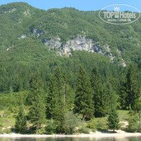 фото из отзыва ID 1294450