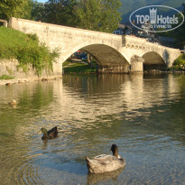 фото из отзыва ID 1294450