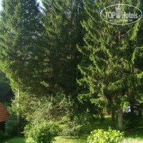 фото из отзыва ID 1294450