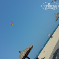 фото из отзыва ID 1294467