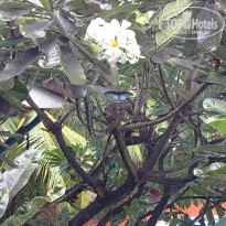 фото из отзыва ID 1294549