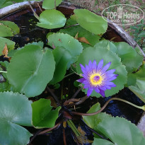 фото из отзыва ID 1294549