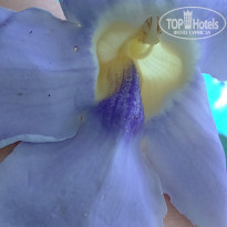 фото из отзыва ID 1294549