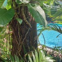 фото из отзыва ID 1294549