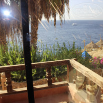 фото из отзыва ID 1294624