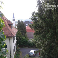 фото из отзыва ID 1294758