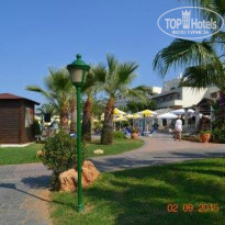 фото из отзыва ID 1295054