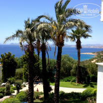 фото из отзыва ID 1295234