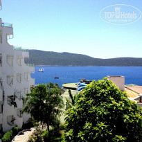 фото из отзыва ID 1295234