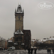 фото из отзыва ID 1295238