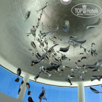 фото из отзыва ID 1295300