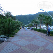 фото из отзыва ID 1295408