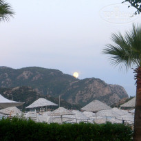 фото из отзыва ID 1295408