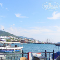 фото из отзыва ID 1295408