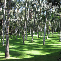 фото из отзыва ID 1295648