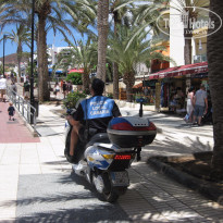 фото из отзыва ID 1295648