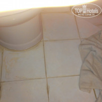 фото из отзыва ID 1295730