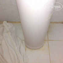 фото из отзыва ID 1295730