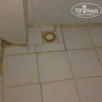 фото из отзыва ID 1295730