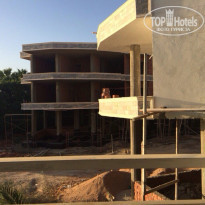 фото из отзыва ID 1295786