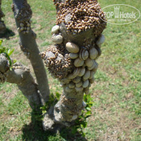 фото из отзыва ID 1295802