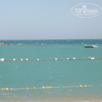 фото из отзыва ID 1296397