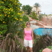 фото из отзыва ID 1296402