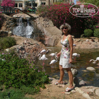 фото из отзыва ID 1296402