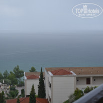 фото из отзыва ID 1296467