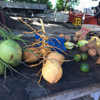 фото из отзыва ID 1296527