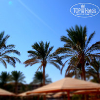 фото из отзыва ID 1296560