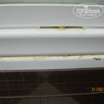 фото из отзыва ID 1296562