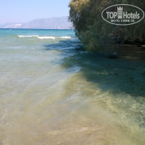 фото из отзыва ID 1296913