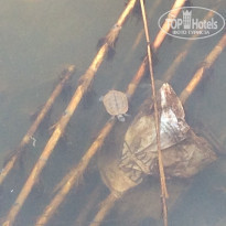 фото из отзыва ID 1296923