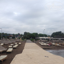 фото из отзыва ID 1296923