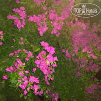 фото из отзыва ID 1296913