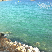 фото из отзыва ID 1296913