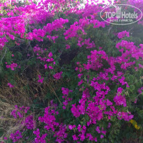 фото из отзыва ID 1296913