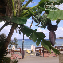 фото из отзыва ID 1297531