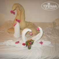 фото из отзыва ID 1297600