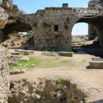 фото из отзыва ID 1297638