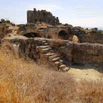 фото из отзыва ID 1297638