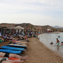 фото из отзыва ID 1297691