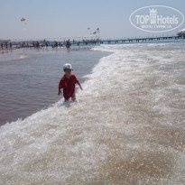 фото из отзыва ID 1297753