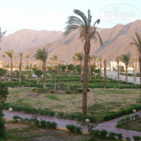 фото из отзыва ID 1297787