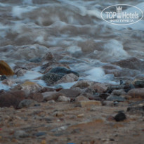 фото из отзыва ID 1297787