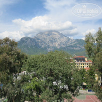 фото из отзыва ID 1297728